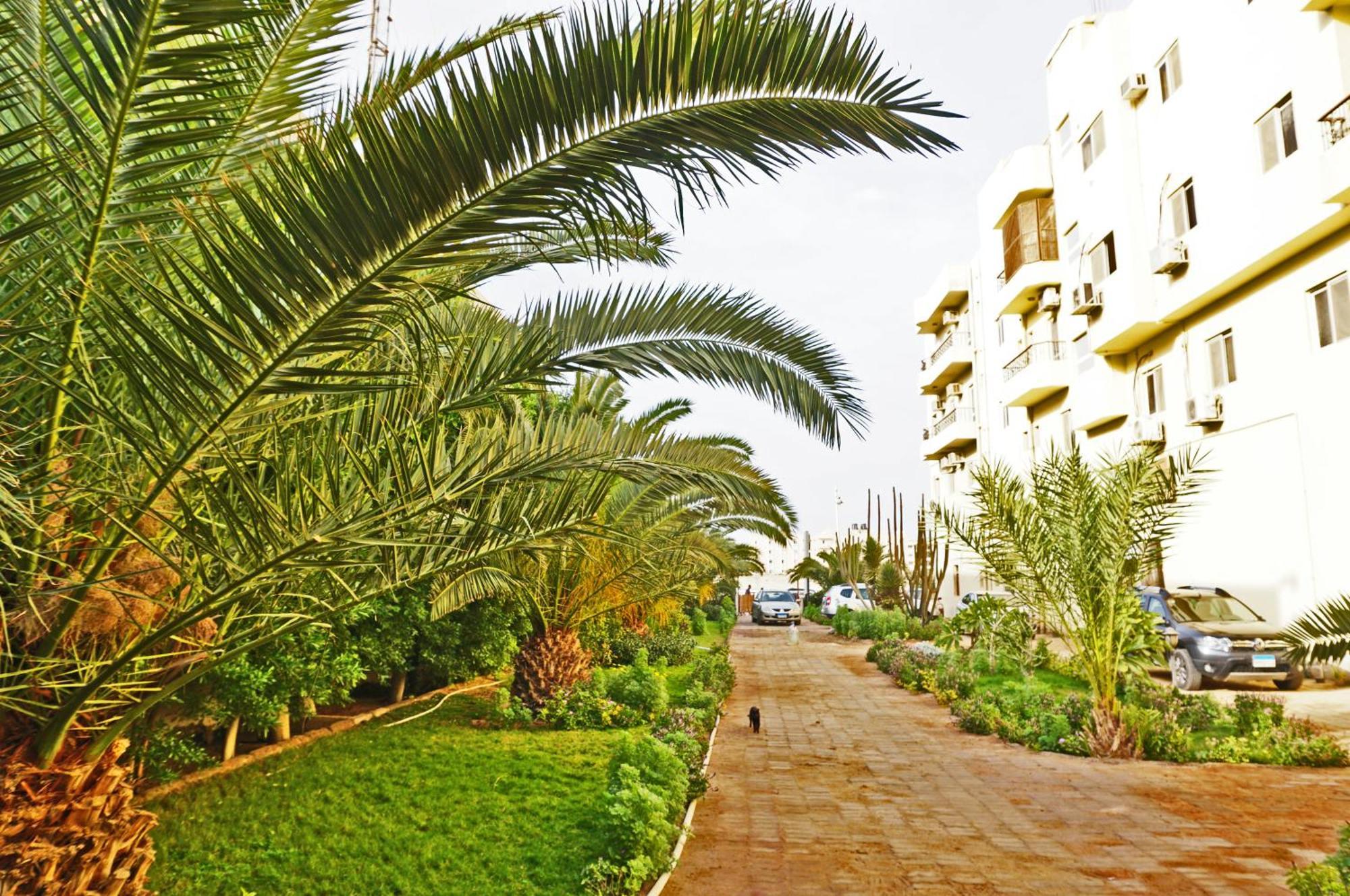 Modern Mountain View On The Touristic Promenade Apartment Hurghada Exterior photo